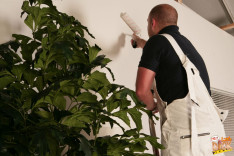 White Wash — Little Dick Club, starring Alyssa Leigh, Paige Fox